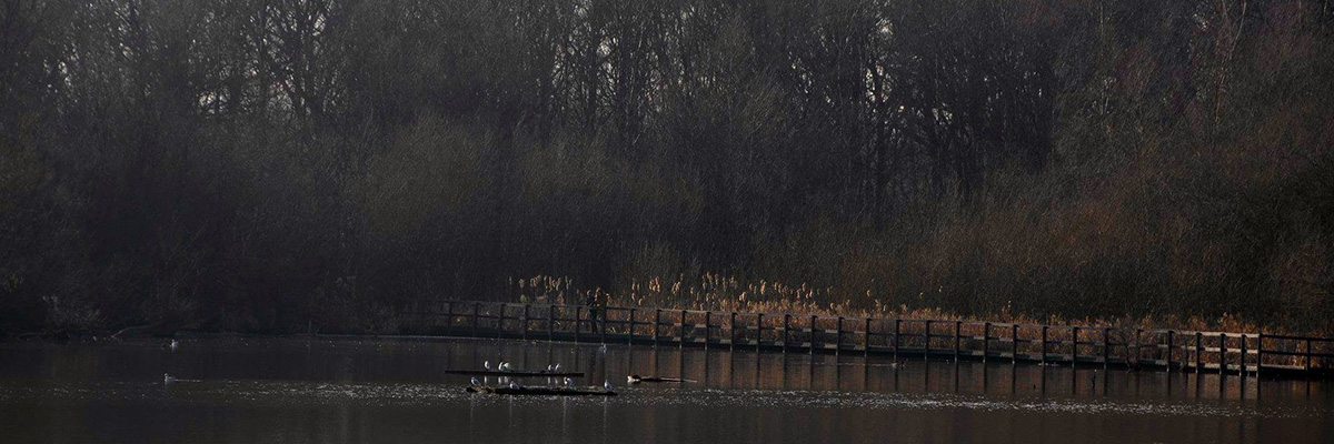 View of a lake